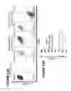 Fig. 82 - Chimeric antigen receptors (CARs), compositions and methods thereof
