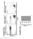 Fig. 94 - Chimeric antigen receptors (CARs), compositions and methods thereof