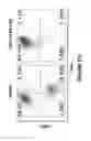 Fig. 97 - Chimeric antigen receptors (CARs), compositions and methods thereof