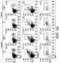 Fig. 03 - COMPOSITIONS AND METHODS FOR MODULATING AN IMMUNE RESPONSE