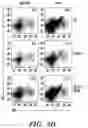 Fig. 06 - COMPOSITIONS AND METHODS FOR MODULATING AN IMMUNE RESPONSE