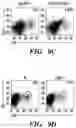 Fig. 20 - COMPOSITIONS AND METHODS FOR MODULATING AN IMMUNE RESPONSE
