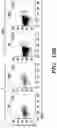 Fig. 41 - COMPOSITIONS AND METHODS FOR MODULATING AN IMMUNE RESPONSE