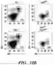 Fig. 43 - COMPOSITIONS AND METHODS FOR MODULATING AN IMMUNE RESPONSE