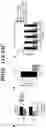 Fig. 44 - COMPOSITIONS AND METHODS FOR MODULATING AN IMMUNE RESPONSE