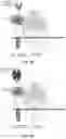 Fig. 09 - T cell-antigen coupler with various construct optimizations