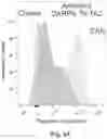Fig. 10 - T cell-antigen coupler with various construct optimizations