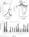 Fig. 14 - T cell-antigen coupler with various construct optimizations