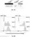 Fig. 15 - T cell-antigen coupler with various construct optimizations