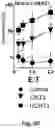 Fig. 17 - T cell-antigen coupler with various construct optimizations
