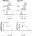 Fig. 21 - T cell-antigen coupler with various construct optimizations