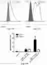 Fig. 26 - T cell-antigen coupler with various construct optimizations