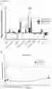 Fig. 10 - OR10H1 ANTIGEN BINDING PROTEINS AND USES THEREOF