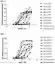 Fig. 03 - PROTEINS BINDING PSMA, NKG2D AND CD16