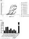 Fig. 04 - PROTEINS BINDING PSMA, NKG2D AND CD16