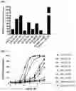Fig. 05 - PROTEINS BINDING PSMA, NKG2D AND CD16