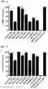 Fig. 07 - PROTEINS BINDING PSMA, NKG2D AND CD16