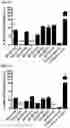 Fig. 08 - PROTEINS BINDING PSMA, NKG2D AND CD16