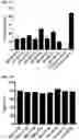 Fig. 10 - PROTEINS BINDING PSMA, NKG2D AND CD16