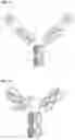 Fig. 13 - PROTEINS BINDING PSMA, NKG2D AND CD16