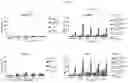 Fig. 12 - Antibodies that bind human CD39 and inhibit ATPase activity of a soluble extracellular domain human CD39 polypeptide