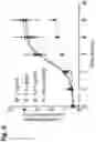 Fig. 10 - TRISPECIFIC ANTIGEN BINDING PROTEINS