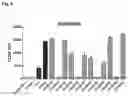 Fig. 09 - PSMA binding agents and uses thereof
