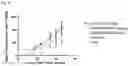 Fig. 43 - PSMA binding agents and uses thereof