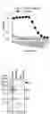 Fig. 05 - Antibody binding specifically to MUC1 and use thereof