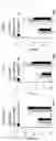 Fig. 16 - Antibody binding specifically to MUC1 and use thereof