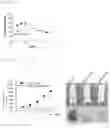 Fig. 32 - Antibody binding specifically to MUC1 and use thereof