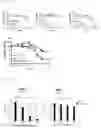 Fig. 35 - Antibody binding specifically to MUC1 and use thereof