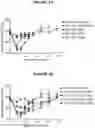 Fig. 09 - ANTIBODIES WITH pH DEPENDENT ANTIGEN BINDING