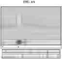 Fig. 05 - Hetero-Dimeric Immunoglobulins