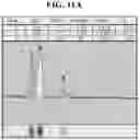 Fig. 16 - Hetero-Dimeric Immunoglobulins