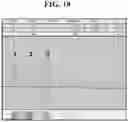 Fig. 24 - Hetero-Dimeric Immunoglobulins
