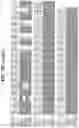 Fig. 38 - Hetero-Dimeric Immunoglobulins