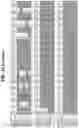 Fig. 40 - Hetero-Dimeric Immunoglobulins