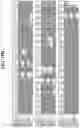 Fig. 41 - Hetero-Dimeric Immunoglobulins