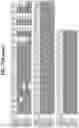 Fig. 42 - Hetero-Dimeric Immunoglobulins