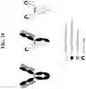 Fig. 50 - Hetero-Dimeric Immunoglobulins