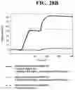 Fig. 55 - Hetero-Dimeric Immunoglobulins