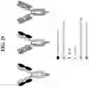 Fig. 56 - Hetero-Dimeric Immunoglobulins