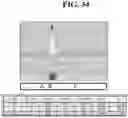 Fig. 61 - Hetero-Dimeric Immunoglobulins