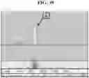 Fig. 66 - Hetero-Dimeric Immunoglobulins