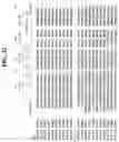 Fig. 69 - Hetero-Dimeric Immunoglobulins