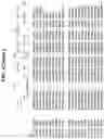 Fig. 71 - Hetero-Dimeric Immunoglobulins