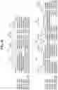 Fig. 75 - Hetero-Dimeric Immunoglobulins
