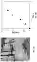 Fig. 13 - Enzyme-assisted ATRP procedures