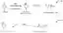 Fig. 01 - Flame retardant lactide monomors for polylactide synthesis